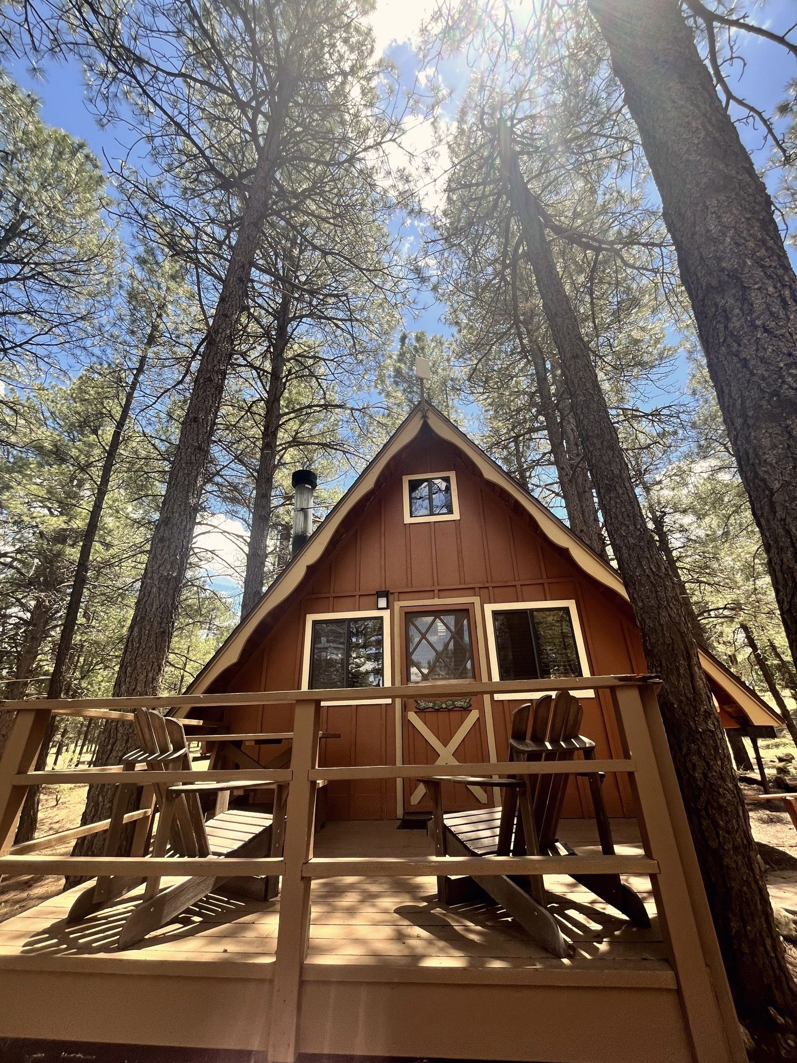 An A-frame cabin among tall ponderosa pines in soft light